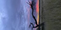 Storm clouds over Mabuasehube Pan, Botswana. Image: Alison Gilbert