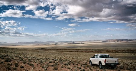 South African game-farming industry on the ‘brink of collapse’