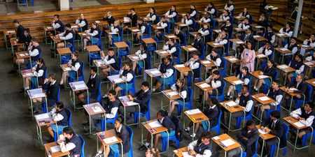 Mental health support networks mobilise as KZN officials finalise exam readiness