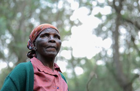 Pines over people in timber giant’s bid to push Eswatini community off ancestral land