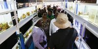 Visitors inside the hatchery. (Photo: Felix Dlangamandla)