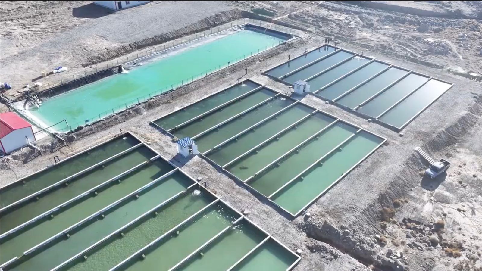 The problem with China’s desert fish-farming boom