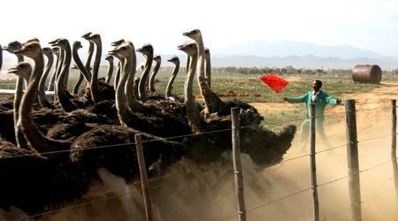 New tenure reform legislation must be enacted