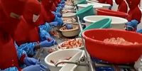 Workers covered in red personal protective equipment leaving only their eyes visible stand along an assembly line in a Choice Canning shrimp processing plant in Amalapuram, India. The photo was sent in a WhatsApp group of plant managers in October 2023. (Photo: Provided by Joshua Farinella)