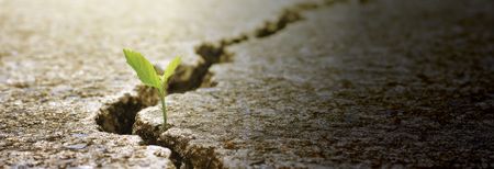 Driving Innovation Through ESG Investment Solutions