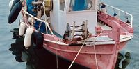 The Greek Fisherman. Photographer: Gerd Marschner 