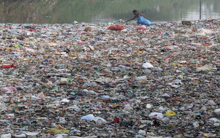 New WWF report unveils alarming links between plastics and human health