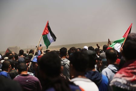 Palestinian civil society calls for international help