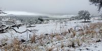 Spioenkop Nature Reserve and Dam on a snowy September Saturday. Photo: John Green <br>