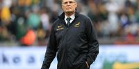 Rugby-Boks Cheslin
