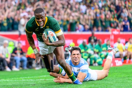 Best of the Boks in 2024 — bomb squad heroics, Cheslin’s genius and other great moments
