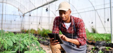Agriculture funding in Africa is ripe for innovation