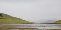 A vlei one misty morning near Wakkerstroom. Photographer: F. D. Rubin