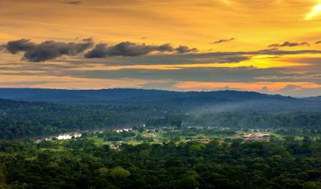 If threatened and ignored Congo Basin rainforests vanish, ‘Africa is not viable’