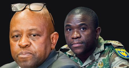 Timeline of commission of inquiry into Mkhwanazi’s allegations is ‘quite tight’, says Justice Madlanga