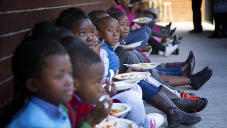 The right to food in South Africa: We need a manifesto for food justice