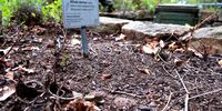 Don-Kirstenbosch 1