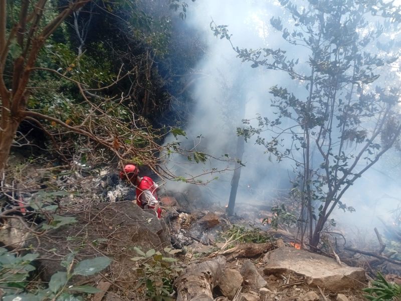 Kenya tourist helicopter crash kills 7, including Americans and Ecuador security chief