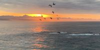 Plett sunrise on shortest day of 2022. Image: Chris Heymans