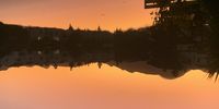 Sunset in suburbia. Winyer wonders. Image: Richard van Greunen
