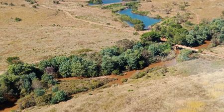 Spike in illegal gold mining alongside Blyde River threatens ecosystems, including Kruger