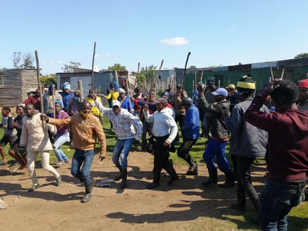 Workers who 'stabbed and stoned' horses in labour dispute face legal action