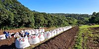 SA farmers turn to new strategies as war sees fertiliser prices soar