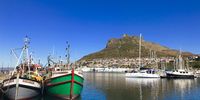 Houtbaai Harbour at it’s best.