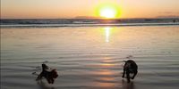 Fun on the beach. Photographer: Marieke v Zyl