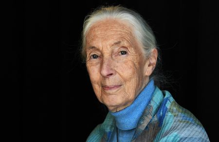 Wildlife advocate and primate expert Jane Goodall dies at 91