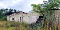 One of the derelict freshwater fish research buildings in the Amalinda Nature Reserve in the Eastern Cape, a collapse caused mainly by funding shortages. (Photo: Div de Villiers)