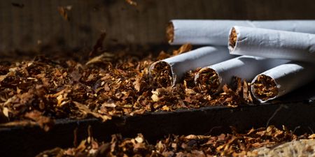 R3bn ‘fraudulent, intentional tax evasion’: An in-depth account of how Sars busted tobacco & gold plunder network