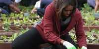WASHINGTON, DC - APRIL 15:  First lady Michelle Obama joins local student in planting vegetables in the White House kitchen garden on the south lawn April 15, 2015 in Washington, DC. This is the seventh year in a row the first lady has planted a vegetable garden on the South Lawn to initiate a national conversation around healthy eating.  (Photo by Mark Wilson/Getty Images)
