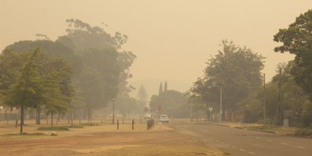 Cape Winelands: Firefighters battle the blaze for another day