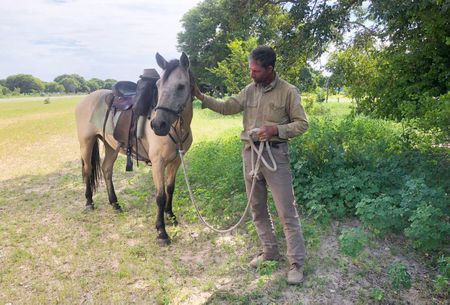Farmer on horseback riding from Zimbabwe to Windhoek for reinstatement of the SADC Tribunal