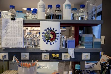 Vaccines: what are they and how do they work?