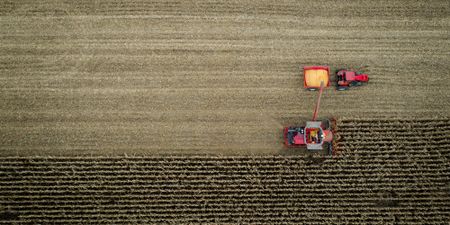 Omnia’s interim results highlight Zimbabwe’s hyperinflation and forex woes