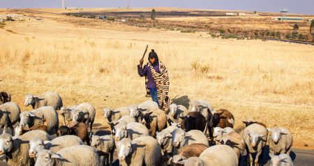 Big corporations have ‘hijacked’ UN food summit, say activists