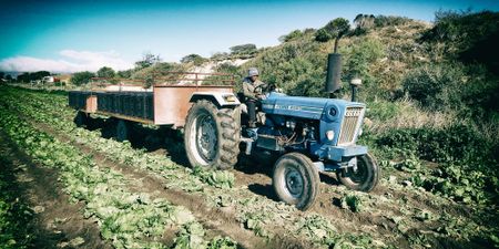 Of developers, governance and land speculation