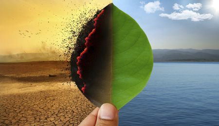 Conflicting visions on ‘Just Transition’ to low carbon economy cloud critical climate change negotiations