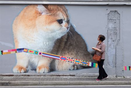 Shanghai's cat murals, and more from around the world
