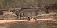 Bathed in the golden glow of the setting sun. Photographer: Jacky du Plessis