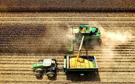 GMOs and precision farming bring food prices down.