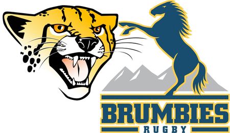 SuperRugby: What the heck happened to the Cheetahs?