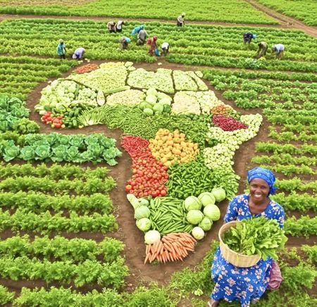 Deserving Africa wants its climate funding