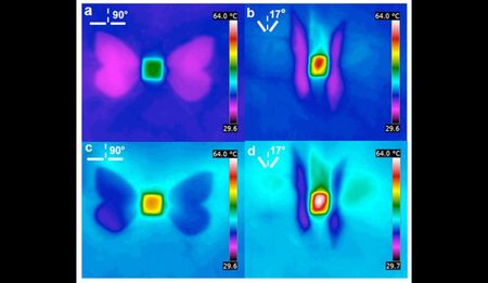 Biomimicry: When sunbathing butterflies inspire solar technology