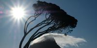 Shooting into the sun. Photographer: Lucinda Jolly