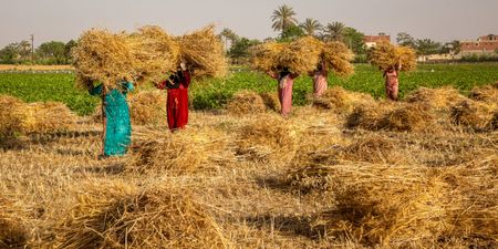 Challenging outdated norms and bridging the gender gap in African climate action
