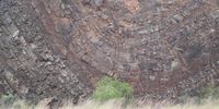 Rock-fold in the Witteberg Series near Makhanda.