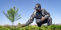 Sphiwe Mati cleaning out weeds from his carrot patch in Alexandra. He says through the garden he is able to feed his family and also sell the surplus vegetables to markets in Alex, Midrand and Sandton.<br>Photo / Shiraaz Mohamed.